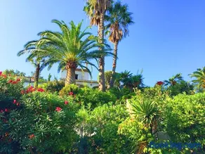 Villa Zara - Saint Tropez Holiday Villa - Image 1