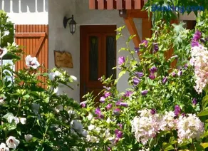 Gîtes Sambuy et Belle-Etoile - Image 1