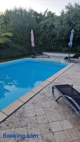 Le MAS du Sud - Image 2