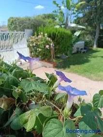 Sottovento Marzamemi Rooms&Relax - Image 3