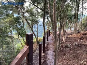 Chalé dos Coqueiros em Nova Petrópolis - Image 4