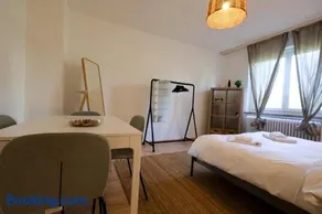 Comfortable Home in Zürich Altstetten - Image 2