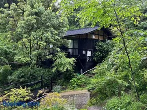 nanakoya - Image 2