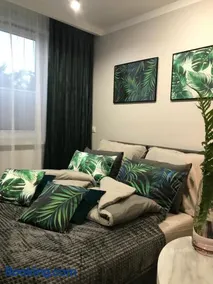 SŁOŃCE WODA LAS Apartament No 11A - Image 2