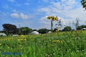 Glamping Yurts near Newquay - Image 5