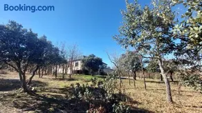 La Lumbre: encanto con piscina todo el año - Image 2