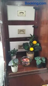AMADONNe - Image 3