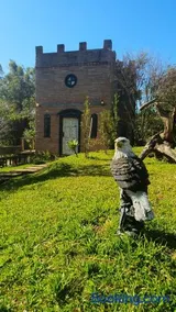 Pouso das Águias - Image 4