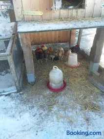 Ferienwohnung Sonnenschein mit kleinem Bauernhof - Image 1