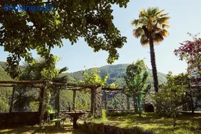Wild Valley Village Life Apartment in Onsernone - Image 1