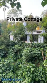 Homestay in coorg big stone hills - Image 2