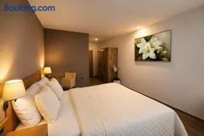 Hotel Schwanenweiher Bad Bertrich - Image 4