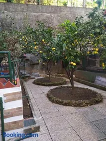 oparavisegenova - Image 1