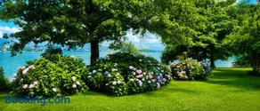 Alte Villa 400m2 Seegrund nur für euch - old villa with 400m2 beach just for you - Image 3