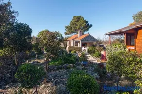 Holiday Home Stella - Image 2