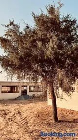 Camel Carvan Resort - Image 3