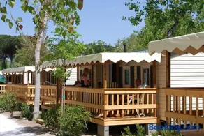 Chalet 4 Or 6 Persons Toscana Viareggio Camping Bosco Verde Italie - Image 1