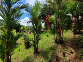 Charming Small House, Near the beach & Waterfalls - Image 5