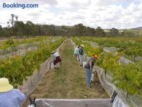 Fergies Hill Spa Cottage @ Granite Ridge Wines - Image 1