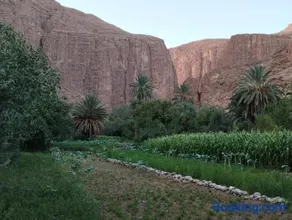 Riad La Fleur - Image 2