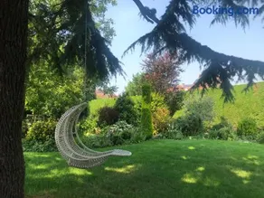 bbCedrus - Image 3