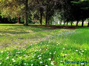 Domaine de L'isle Maniere - Image 4