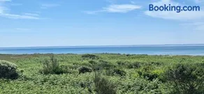 Au bord de l'eau - Image 2