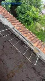 São joao - Image 3