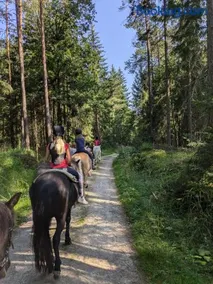 Ponyhof Adam Urlaub auf dem Bauernhof - Image 2
