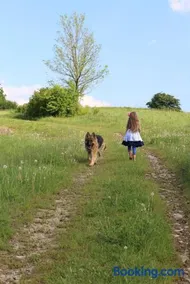 Agroturystyka Na Jamie - Image 1