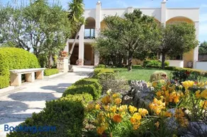 B&B La Rosa Blu - Image 1