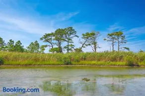 Marsh Point - Screened Porch & Shared Dock! - Image 3