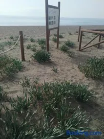 Suites Beach Nature - Image 2