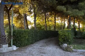 Casa dei Nonni by Briciole di Gusto - 3000mq di relax in giardino a 1500m dal mare - Image 3