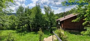 Mystically Wood House in The Forest - Image 1