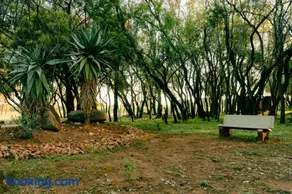 Best for last resorts - Image 4