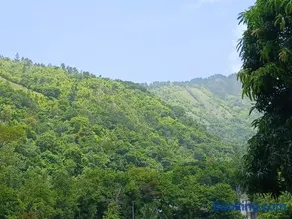 Skyview Palace - Image 3