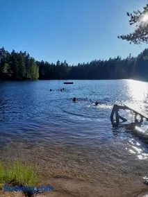 Forest lodge - Image 2