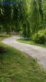 Blue Mountains charm with Spa! - Image 5