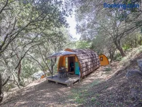 Camping Torraccia - Image 2