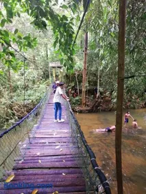 Makelioya Nature Resort - Image 2