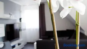 Ferienwohnung Für 2 Personen 54 M² - Image 2