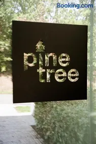 Pine Tree - Image 1