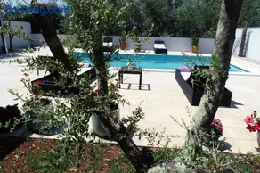 Villa Petrovic - Image 2