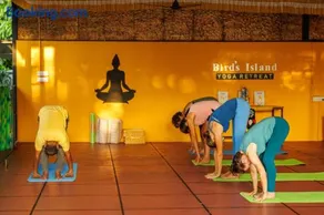 Birds Island Ayur-Yoga Retreat - Image 4