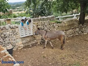 Casa Don Carmelo-Holiday' s Food Experience - Image 2