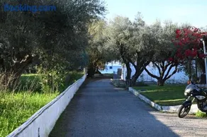 Ostria spiti 5 - Image 3