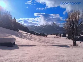 Ski-In Chalet in top location - Image 2