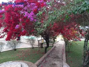Chácara familiar em Mairinque com Piscina Adulto e Infantil, Wi-Fi e Churrasqueira - Image 3