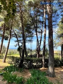 Agriturismo Podere Campalto - Image 2